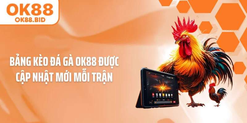 Bảng kèo đá gà OK88 được cập nhật mới mỗi trận