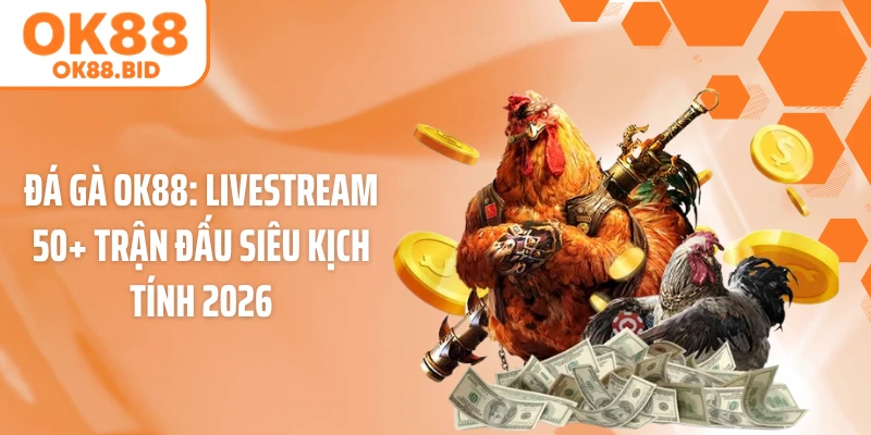Đá Gà OK88: Livestream 50+ Trận Đấu Siêu Kịch Tính 2026