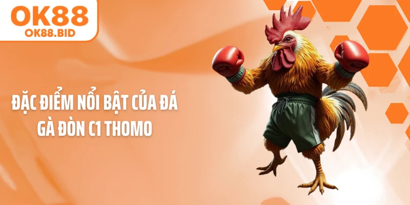Đặc điểm nổi bật của đá gà đòn C1 Thomo
