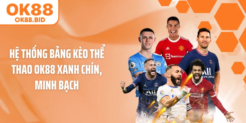Hệ thống bảng kèo thể thao OK88 xanh chín, minh bạch