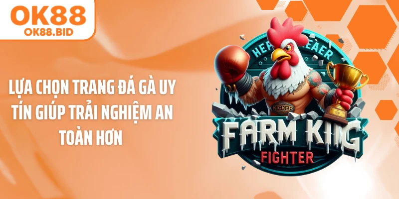 Lựa chọn trang đá gà uy tín giúp trải nghiệm an toàn hơn 