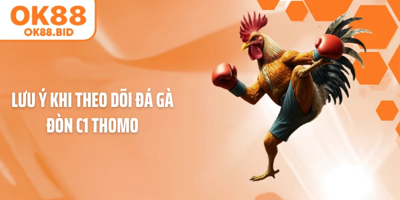 Lưu ý khi theo dõi đá gà đòn C1 Thomo