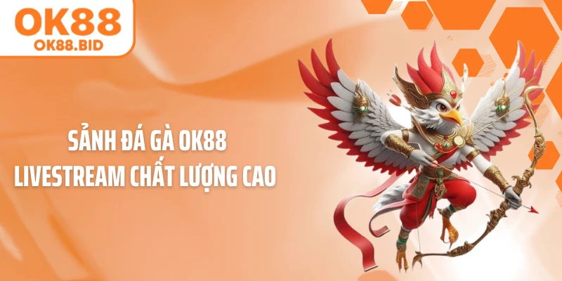 Sảnh đá Gà OK88 Livestream chất lượng cao