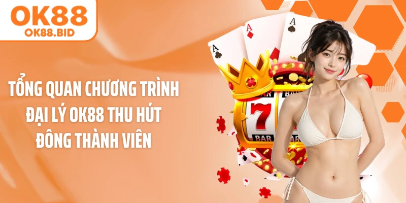 Tổng quan chương trình đại lý OK88 thu hút đông thành viên