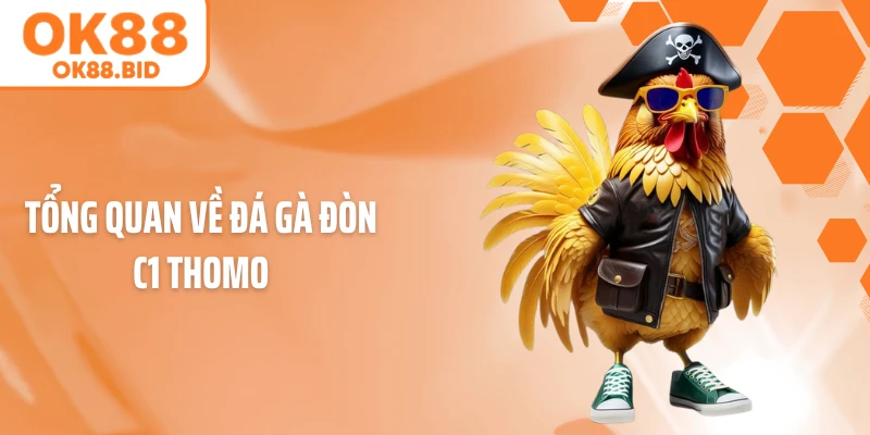 Tổng quan về đá gà đòn C1 Thomo