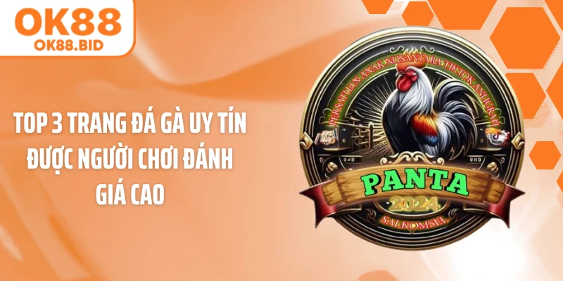 Top 3 trang đá gà uy tín được người chơi đánh giá cao