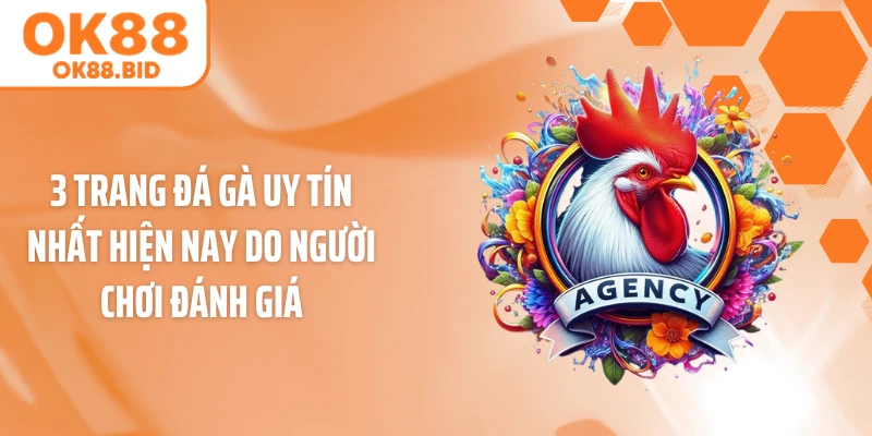 3 Trang Đá Gà Uy Tín Nhất Hiện Nay Do Người Chơi Đánh Giá