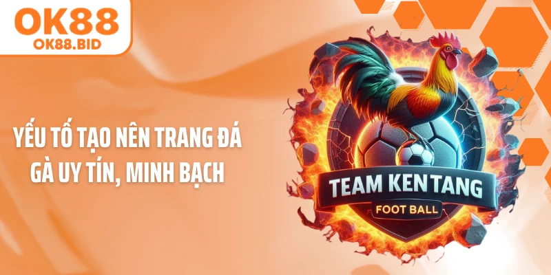Yếu tố tạo nên trang đá gà uy tín, minh bạch